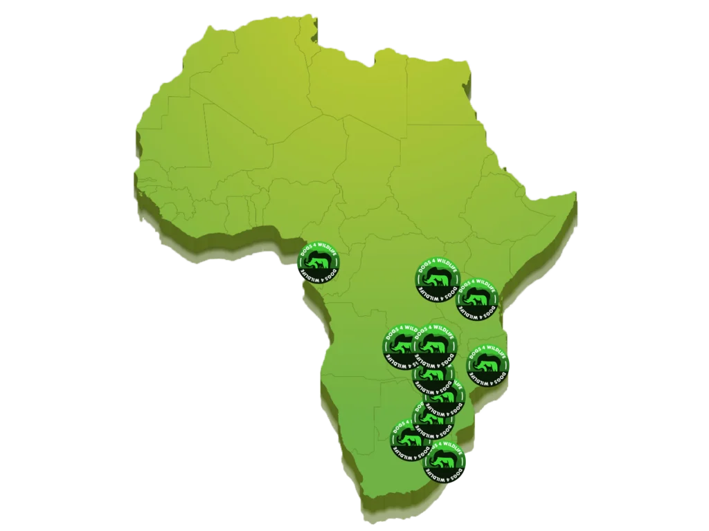 Wildlife charity